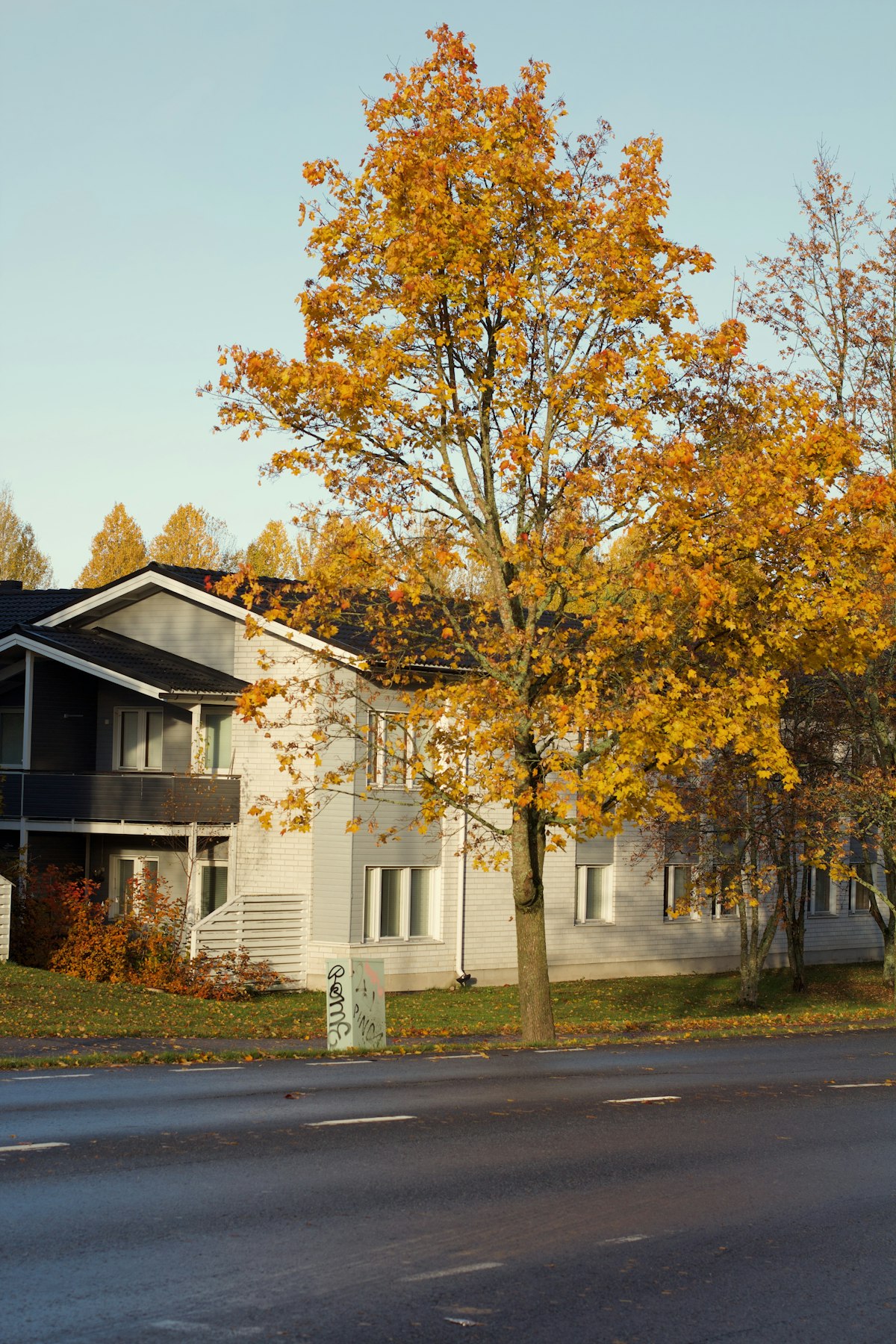 Ricoh GR III Autumn Photography: Settings, Film Recipes, and Fall Color Tips