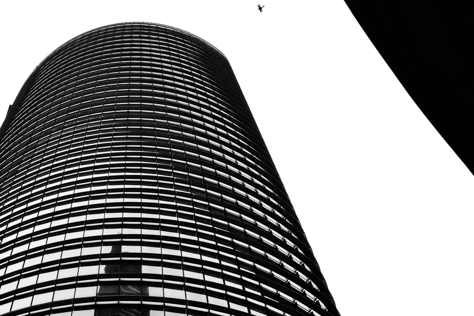 Black-and-white photo shot on a Ricoh GR III looking up at a curved glass tower, with a bird against a white sky